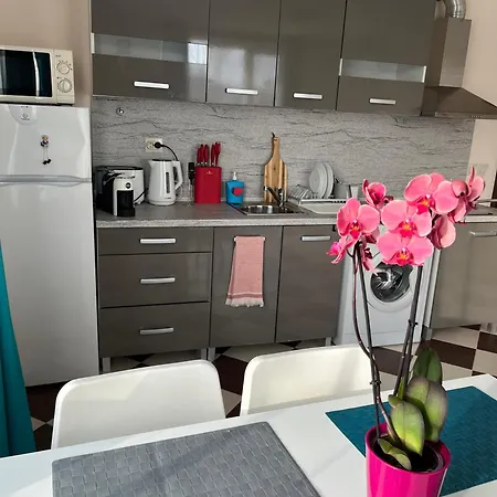 Apartment Zlatna Ribka *