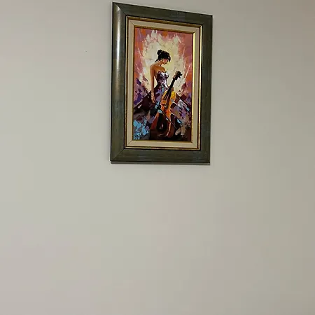 Apartment Zlatna Ribka *