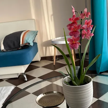 Apartment Zlatna Ribka