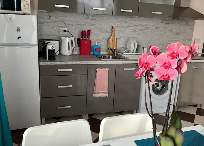 Apartament Zlatna Ribka *